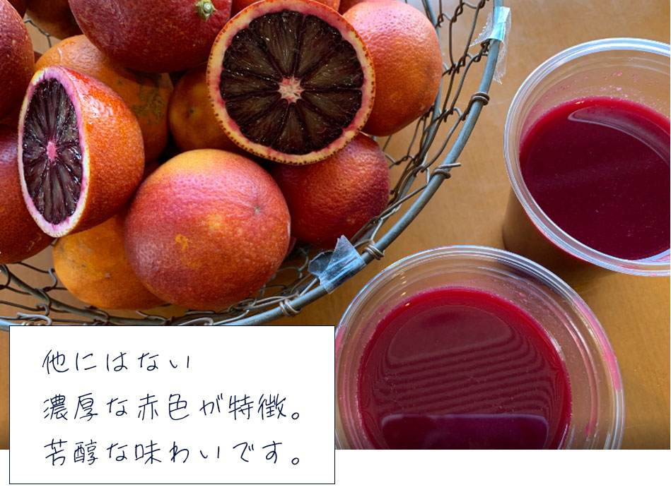 愛媛県産ブラッドオレンジ
