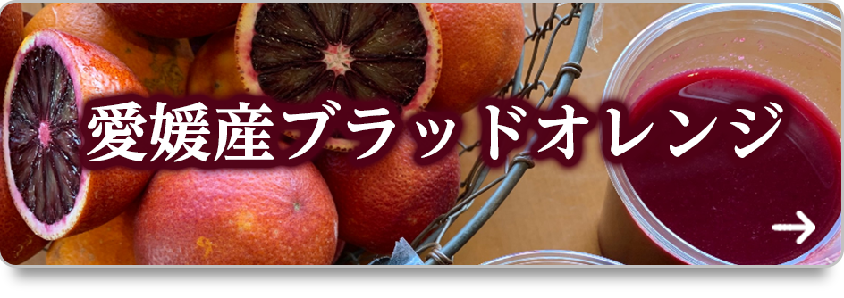 愛媛県産ブラッドオレンジ